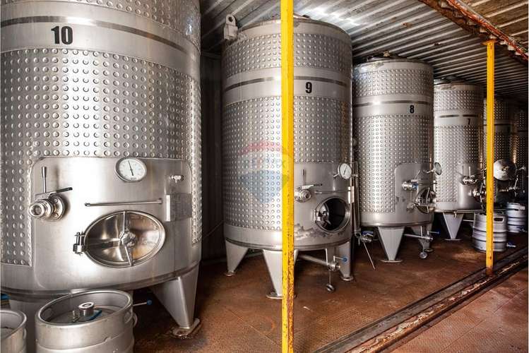 Terreno agrícola viñedos en casablanca venta
