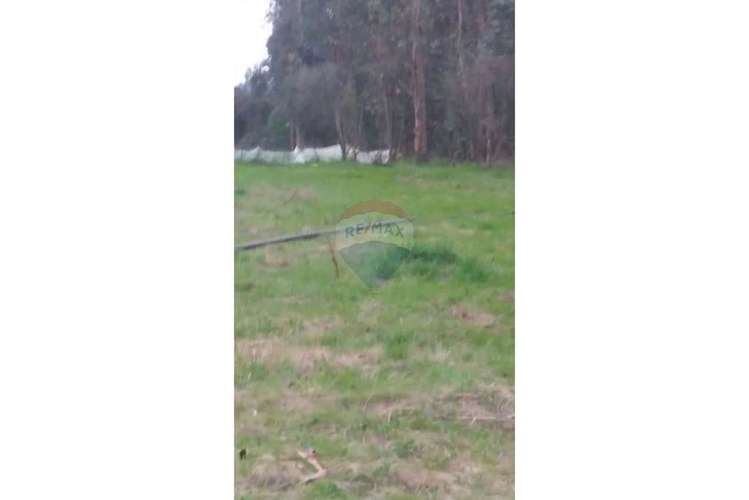 Terreno en san pedro, melipilla