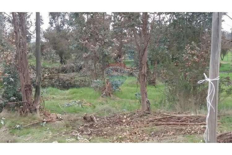 Terreno en san pedro, melipilla