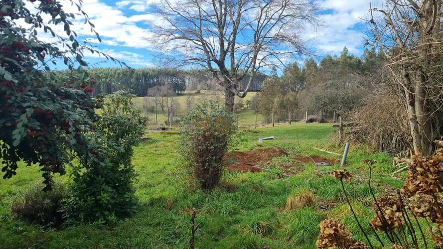 PARCELA DE 5000 M2 CON CASA EN LONCOPÁN