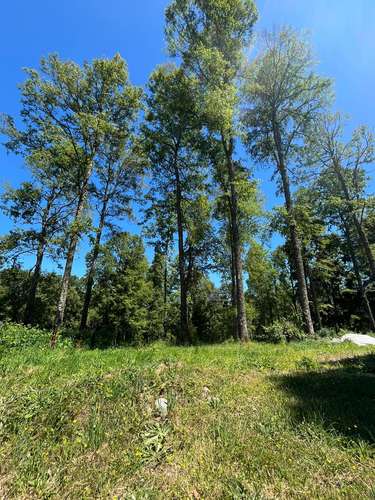 VIVE EN BOSQUES DE FRUTILLAR, LA ZONA MAS LINDA DE CHILE