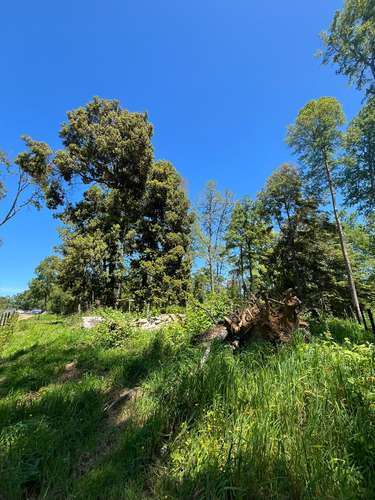 VIVE EN BOSQUES DE FRUTILLAR, LA ZONA MAS LINDA DE CHILE
