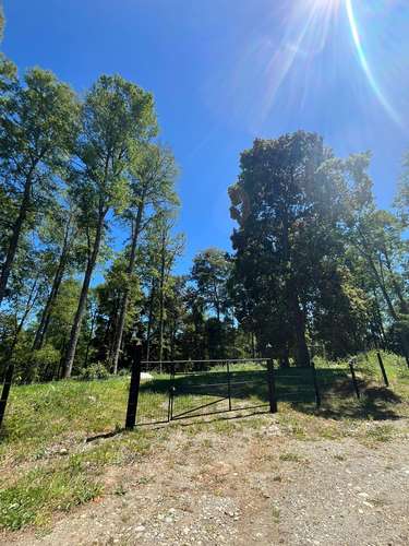 VIVE EN BOSQUES DE FRUTILLAR, LA ZONA MAS LINDA DE CHILE