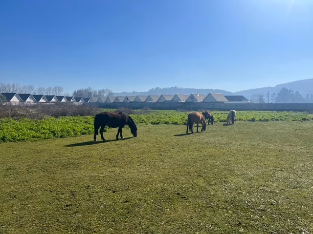 Escuadrón, vendo Terreno 15.000 mts.2, av. Quiñenco, para construir