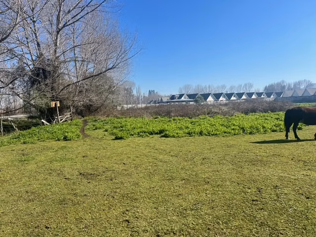 Escuadrón, vendo Terreno 15.000 mts.2, av. Quiñenco, para construir