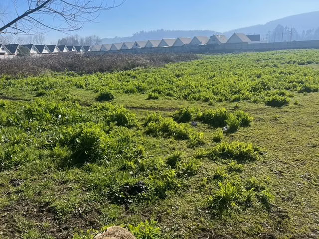 Escuadrón, vendo Terreno 15.000 mts.2, av. Quiñenco, para construir