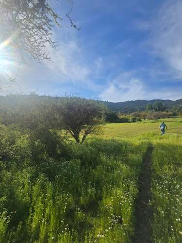 Campo en venta en Malloa, entorno agrícola y vitivinícola