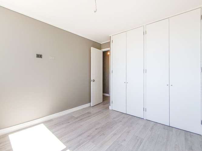 Paulina 8753 (1 Bod) [3118-3] - Imagen 8