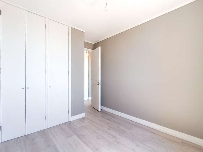 Paulina 8753 (1 Bod) [3118-3] - Imagen 6