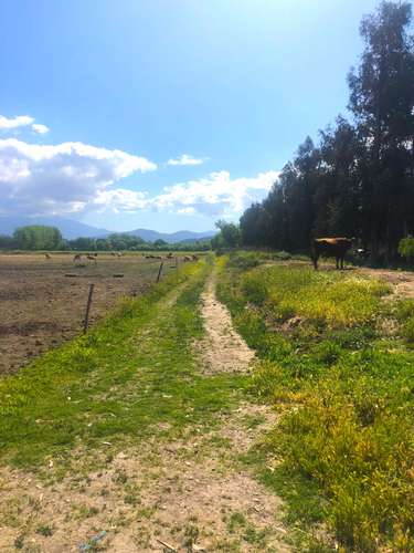 Oportunidad de Inversión en Terreno (186487)