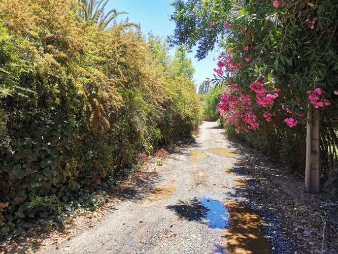 HERMOSA Y CÓMODA CASA EN MACHALÍ - Imagen 2