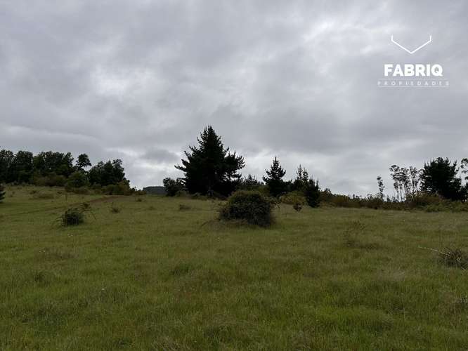 EN VENTA | PARCELAS DE 5.000 M² | SECTOR MONTEVERDE, TEMUCO - Imagen 11