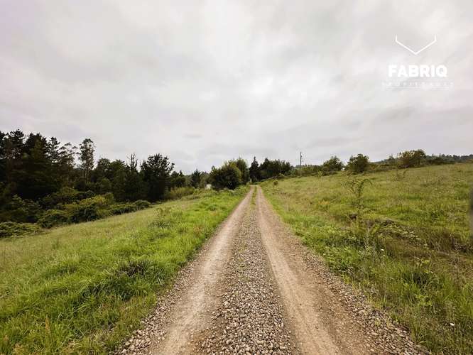 EN VENTA | PARCELAS DE 5.000 M² | SECTOR MONTEVERDE, TEMUCO - Imagen 2
