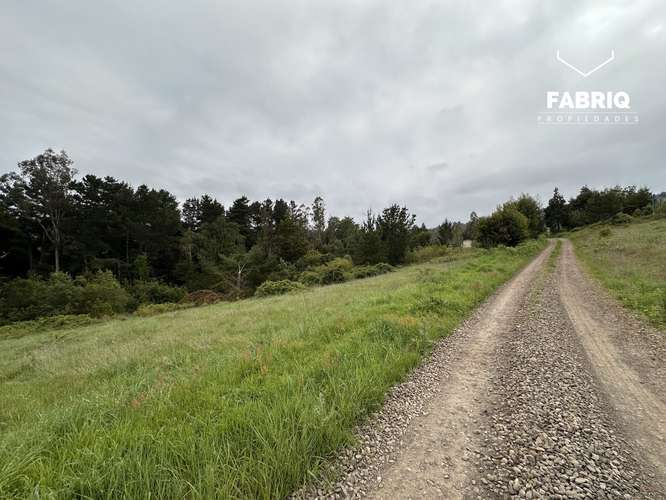 EN VENTA | PARCELAS DE 5.000 M² | SECTOR MONTEVERDE, TEMUCO - Imagen 3