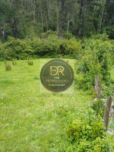 CELENTE OPORTUNIDAD DE INVERSION: CAMPO DE  HECTAREAS (97.300 M2)
