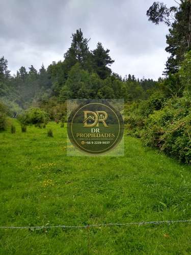 CELENTE OPORTUNIDAD DE INVERSION: CAMPO DE  HECTAREAS (97.300 M2)