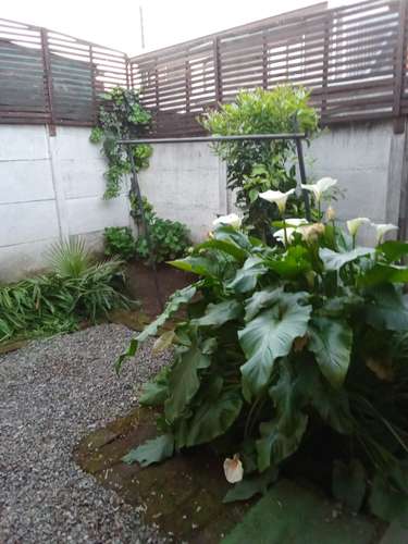 CASA BOLDO AVENIDA MANSO DE VELASCO - Imagen 20