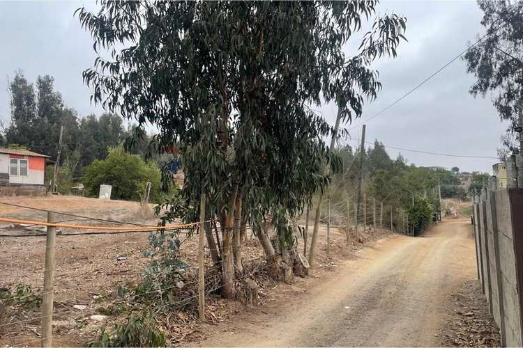 Se vende terreno sector puchuncavi - Imagen 14