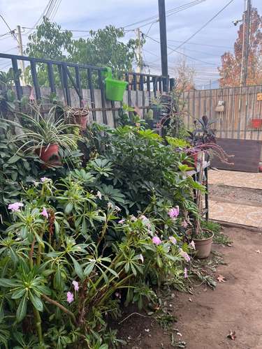 VENTA CASA COMUNA PADRE HURTADO - Imagen 8