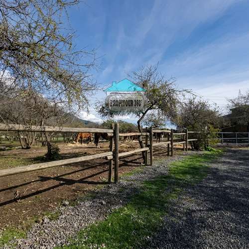 VENTA PARCELA 5300MTS Olmué - Imagen 2