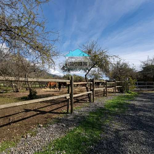 VENTA PARCELA 5300MTS Olmué - Imagen 8