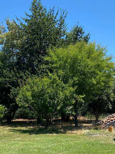 VENTA CASA CAMINO COIHUECO CHILLAN 5D 3B PISCINA - Imagen 16