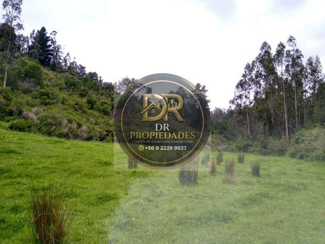 EXCELENTE OPORTUNIDAD DE INVERSION: CAMPO DE 7,9 HECTAREAS