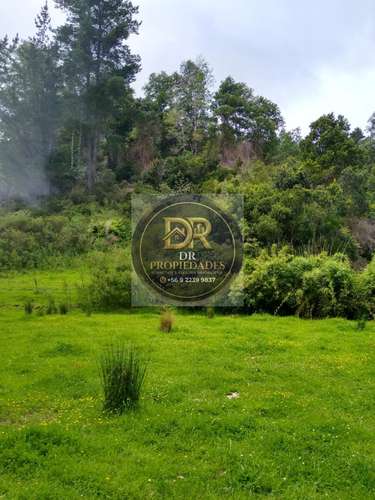 EXCELENTE OPORTUNIDAD DE INVERSION: CAMPO DE 7,9 HECTAREAS