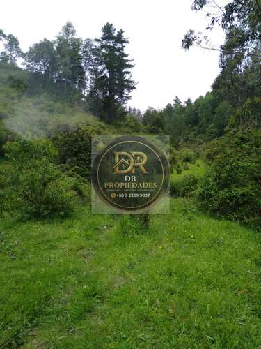 EXCELENTE OPORTUNIDAD DE INVERSION: CAMPO DE 7,9 HECTAREAS