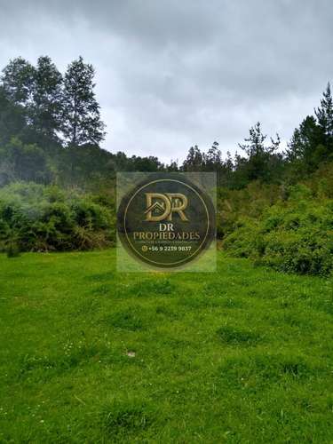 EXCELENTE OPORTUNIDAD DE INVERSION: CAMPO DE 7,9 HECTAREAS