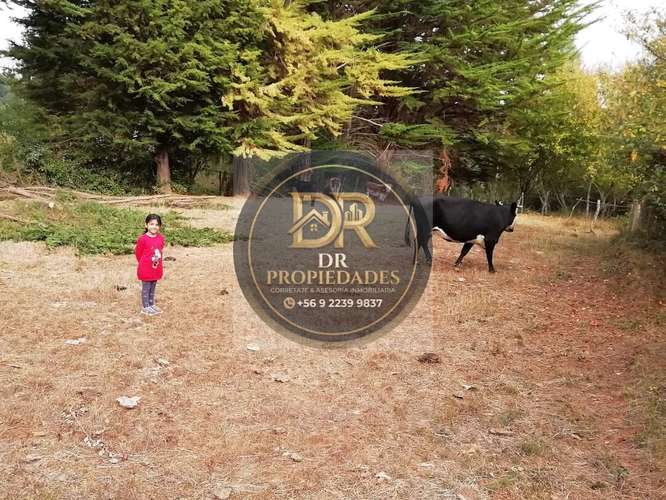 EXCELENTE OPORTUNIDAD DE INVERSION: CAMPO DE 7,9 HECTAREAS