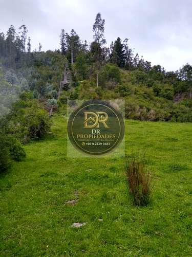 EXCELENTE OPORTUNIDAD DE INVERSION: CAMPO DE 7,9 HECTAREAS