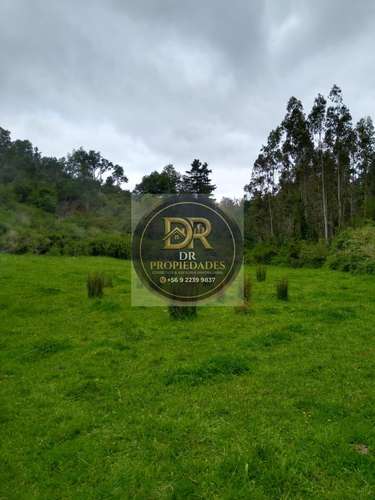 EXCELENTE OPORTUNIDAD DE INVERSION: CAMPO DE 7,9 HECTAREAS