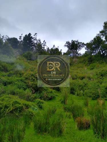EXCELENTE OPORTUNIDAD DE INVERSION: CAMPO DE 7,9 HECTAREAS