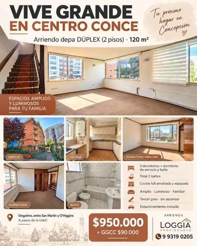 Departamento tipo Casa Janequeo/ Ohiggins 4d/3b/1e entrega inmediata