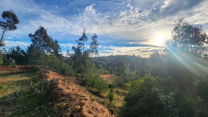 Parcela, Terreno, Fundo Los Aromos, 25 min Concepción, Copiulemu,  Florida - Imagen 7