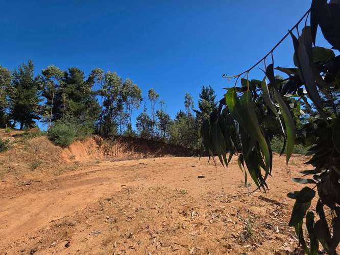 Parcela, Terreno, Fundo Los Aromos, 25 min Concepción, Copiulemu,  Florida - Imagen 16
