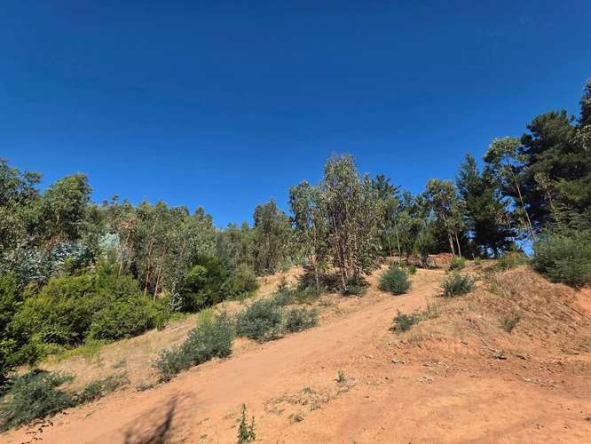 Parcela, Terreno, Fundo Los Aromos, 25 min Concepción, Copiulemu,  Florida - Imagen 17