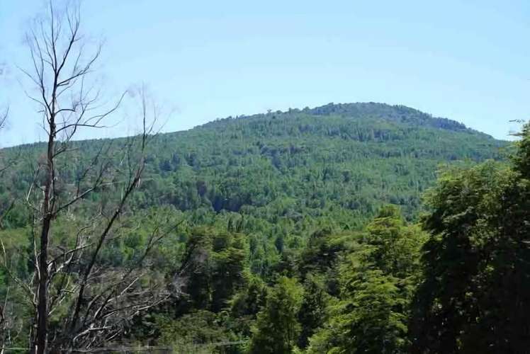 Parcelas, Sitios, Terrenos, Llafenco Park, Pucón - Imagen 10