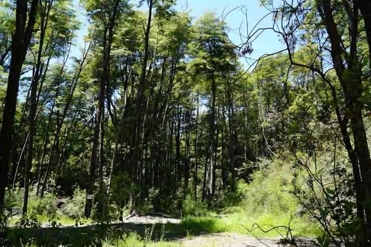 Parcelas, Sitios, Terrenos, Llafenco Park, Pucón - Imagen 18