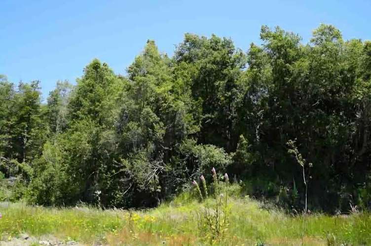 Parcelas, Sitios, Terrenos, Llafenco Park, Pucón - Imagen 11