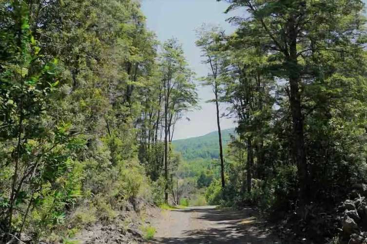 Parcelas, Sitios, Terrenos, Llafenco Park, Pucón - Imagen 2