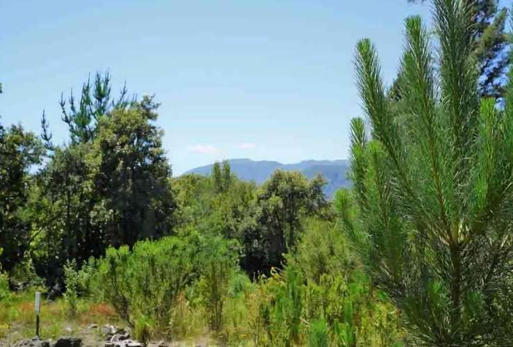 Parcelas, Sitios, Terrenos, Llafenco Park, Pucón - Imagen 3