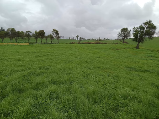 terrenos