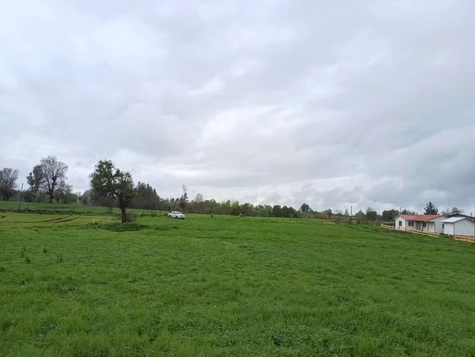 terrenos