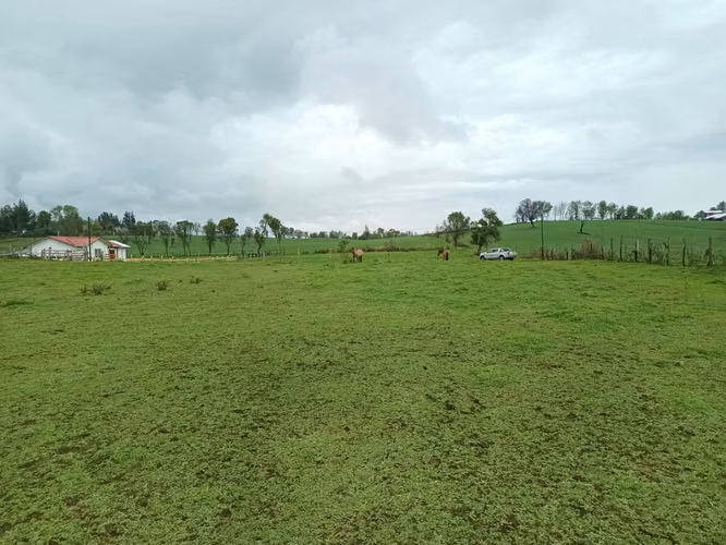terrenos