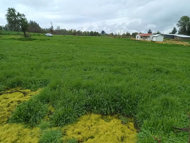 terrenos