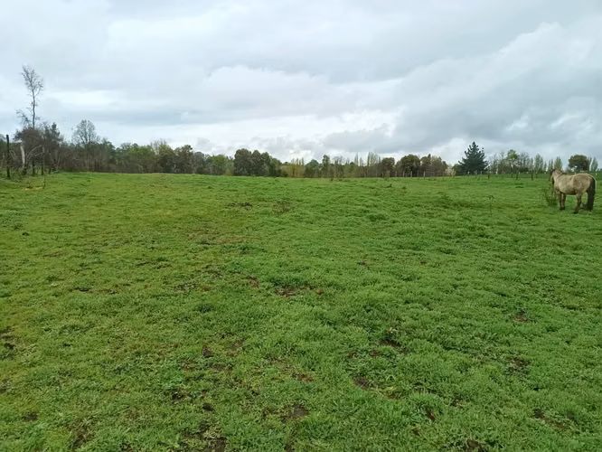 terrenos