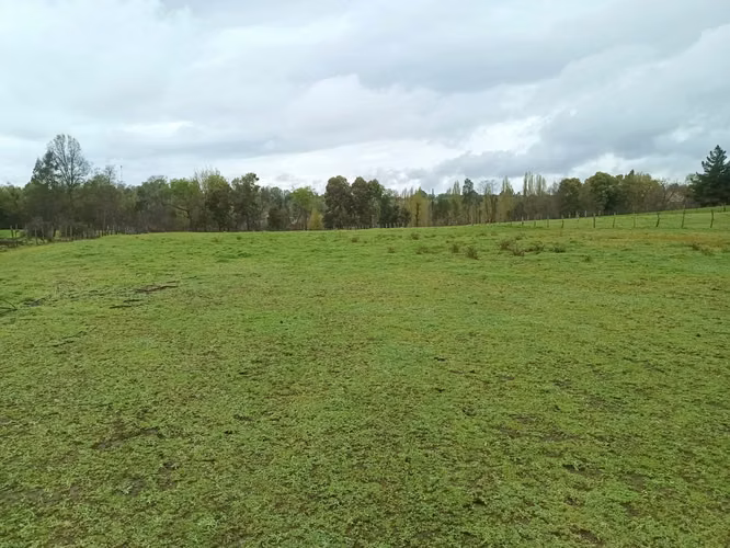 terrenos