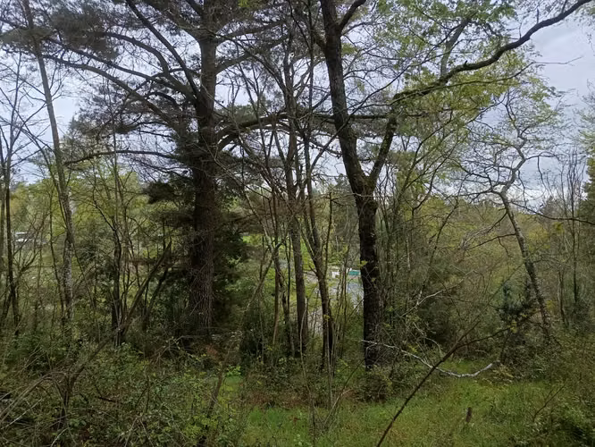 terrenos